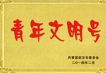 共青团武汉市委员会（青年文明号）