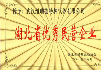 湖北省民营企业协会（湖北优秀民营企业）